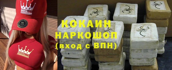 прущий лед Алзамай